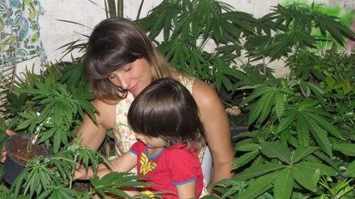 A luta de Angela pela cannabis medicinal