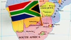 África do Sul inicia plantio piloto com sementes locais de cânhamo