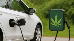 Cânhamo nas baterias? A alternativa verde que pode mudar tudo