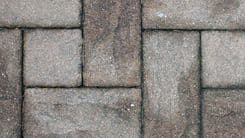 Crise habitacional em Portugal: cânhamo, menos burocracia e mais inovação