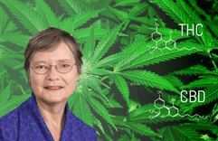 Allyn Howlett and the discovery of the CB1 receptor: the gateway to the Endocannabinoid System