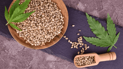 RS establishes Parliamentary Front for the Sustainability of Industrial Hemp