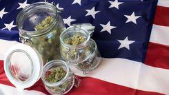 Mercado de cannabis em Nova York atinge US$ 2 bilhões em vendas