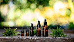 Política de cannabis medicinal de Sergipe recebe prêmio farmacêutico