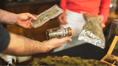 Homem aciona a polícia após não receber cannabis ilícita e diz que traficante agiu de má-fé