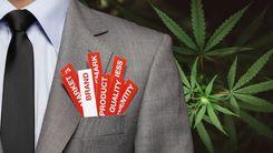 Como as marcas de cannabis dos EUA estão protegendo sua propriedade intelectual antes da legalização