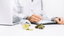 Regulaciones específicas y evidencias científicas emergentes respaldan a los dentistas a la hora de prescribir cannabis