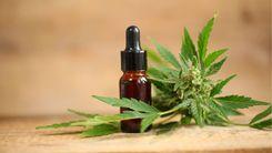 Empresa agrícola de cannabis recebe nova extensão da Nasdaq para evitar deslistagem