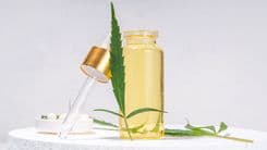 Cannabis não é “droga”: ciência e medicina desmontam o estigma