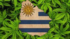 Preço da cannabis nas farmácias sobe em todas as variedades no Uruguai