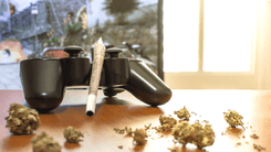 Cannabis e videogame: uma dupla que nem sempre joga no mesmo time