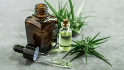 Pesquisa mostra como a cannabis pode transformar a vida de quem tem doenças autoimunes