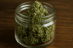 Saiba como armazenar a cannabis medicinal em casa