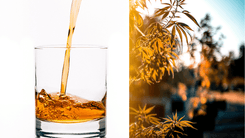 Menos ressaca, mais cannabis: novo hábito dos consumidores preocupa setor de bebidas