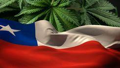Regulamentação do uso pessoal e adulto de cannabis é reapresentada no Chile
