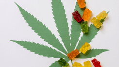 Cientistas detectam THC no hálito humano após consumo de comestíveis de cannabis