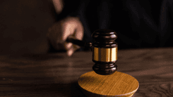 Como o direito aduaneiro e penal protege empresas de cannabis