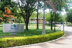 Embrapa as an Ally in the Bureaucratization of Cannabis and Hemp