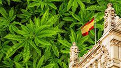 Governo da Espanha aprova regulamentação histórica