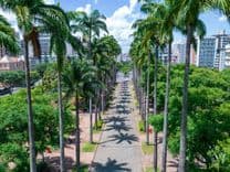 Minas Gerais discute la distribución de productos a base de Cannabis para uso medicinal por el SUS