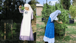 Knowledge and Cultivation: American nuns promote cannabis courses in Brazil