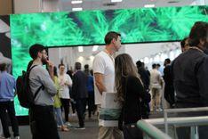 Imagem do editorial: Medical Cannabis Fair: oportunidades e networking no mercado canábico brasileiro 