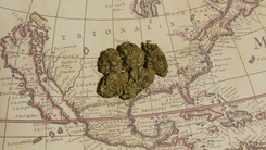  O contexto histórico da proibição da maconha no Brasil: ecos de um passado que ainda respira