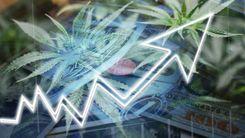 Ações de cannabis mostram sinais de recuperação após quedas em 2025