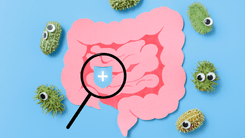 Microbiota Intestinal y Cannabis: estudio revela impacto de la interacción para diversas patologías y efectos
