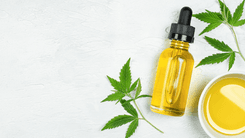Nova fórmula com CBD reverte sintomas depressivos e danos à memória, segundo estudo pré-clínico
