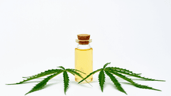 “Start low, go slow”: a regra que guia o uso seguro da cannabis medicinal