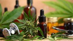 Mercado em expansão impulsiona inauguração da primeira farmácia de produtos de cannabis regulados pela Anvisa no Paraná