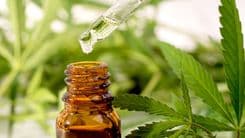 Anvisa concede autorização sanitária para novo produto de canabidiol de empresa farmacêutica