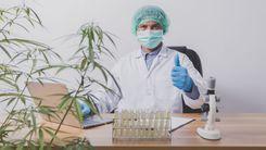 Brasil é destaque em relatório global com casos de sucesso no uso de cannabis contra a dor