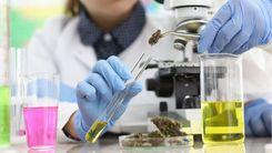 Estudo da Uece analisa uso do CBD no tratamento de crianças com TEA