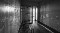 STF fixou 40 g como limite, mas 55% das condenações por maconha seguem como tráfico