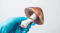 Terapia com psicodélicos sem rede de apoio pode ampliar riscos, alertam especialistas