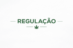 Sandbox da cannabis expõe divergências sobre regulação e acesso no Brasil