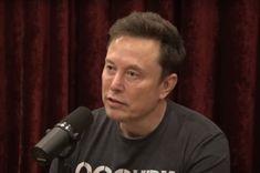 Imagem do editorial: Elon Musk e Joe Rogan defendem o uso de psicodélicos