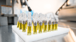 Entre mitos e verdades, o THC pede menos julgamento e mais atenção
