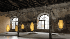 Biennale Architettura 2025: Cânhamo como material sustentável e inovador na arquitetura