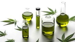 EFSA fixa dose provisória de CBD em 2 mg por dia e mantém alertas de segurança