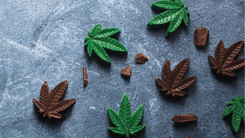 Crescimento do mercado de infusão de cannabis tem "sabor" de chocolate na América do Norte