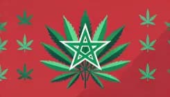 Morocco produced 4,082 tons of legal cannabis in 2024