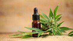 Anvisa aprova novo produto farmacêutico à base de cannabis no Brasil