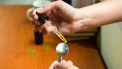 SINSSP-BR integra tratamento com cannabis medicinal para servidores