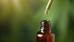 Anvisa aprova dois produtos à base de cannabis para farmácias