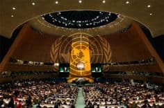Drogas mais utilizadas no mundo segundo a ONU 