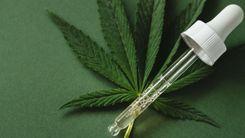 Solicitar autorización para importar productos derivados de Cannabis
