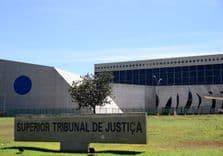 STJ publica sentencia que define las directrices para el cultivo de cáñamo en Brasil este martes (19)